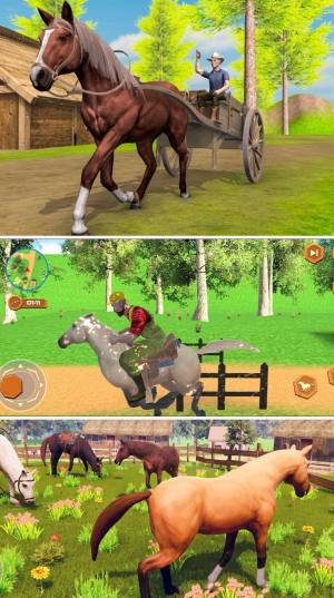 真实马术师模拟游戏最新安卓版图片1