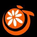 橘子视频美化app最新版 v1.0.2