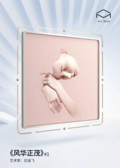 Meta Art数字藏品app图1