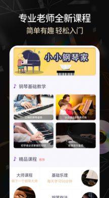 手机版电子琴全键下载中文版图3