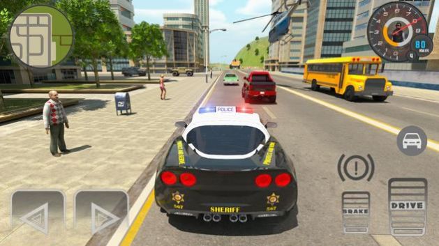 警察追捕真正的警察司机游戏图1