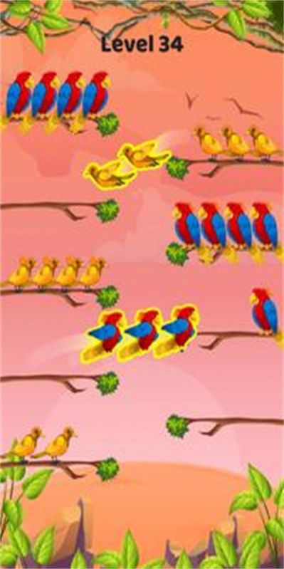 鸟类颜色排序游戏图1