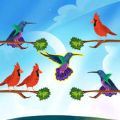 鸟类颜色排序游戏