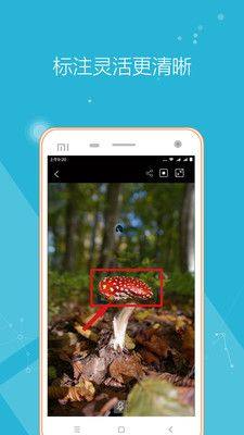 远程投影仪app官方版2022图片1