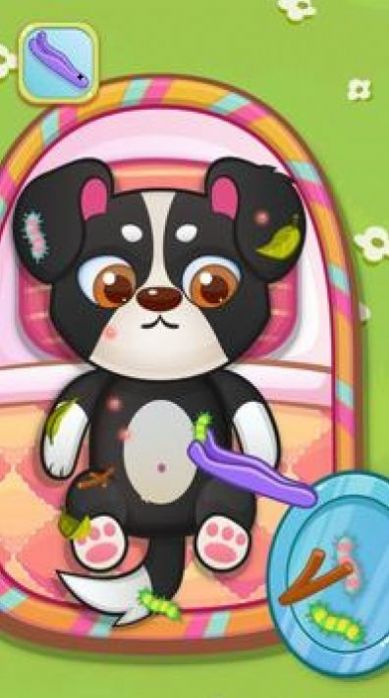 Doctor Pets游戏图1
