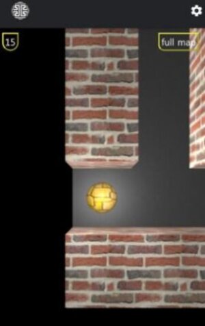 经典脑3D迷宫游戏安卓版(Brain 3D Maze)图片1