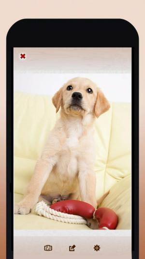 修狗翻译模拟器app手机免费版下载图片2