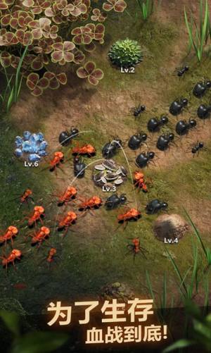 蚂蚁窝模拟器游戏官方版图片1