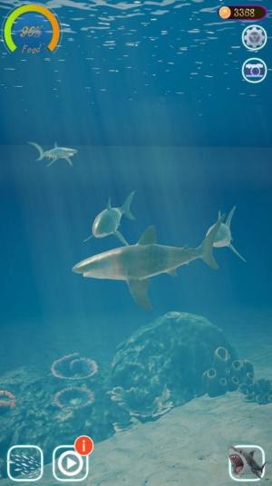 鲨鱼海洋游戏图1
