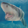 鲨鱼海洋游戏最新手机版 v1.1.0