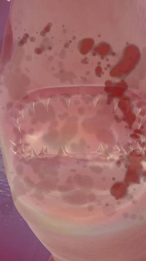 鲨鱼海洋游戏最新手机版图片1