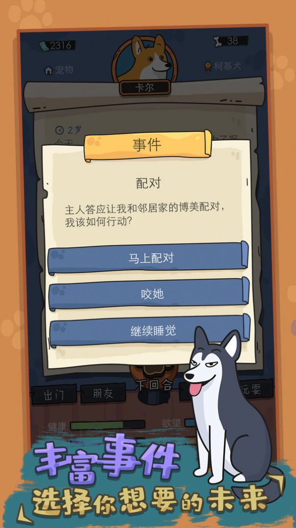 狗生模拟器下载官方图2