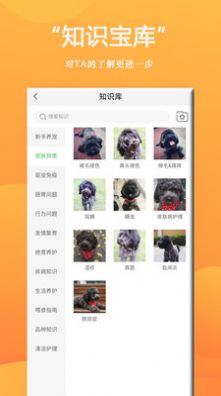 狗狗商城app图3