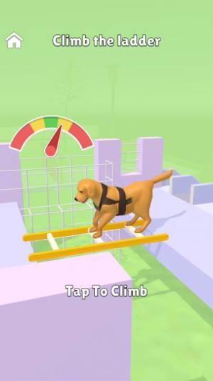 超级狗训练游戏图3