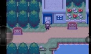 口袋妖怪赛义夫游戏安卓官方版图片1