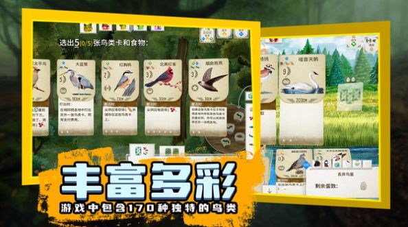 鸟类观察家游戏图3