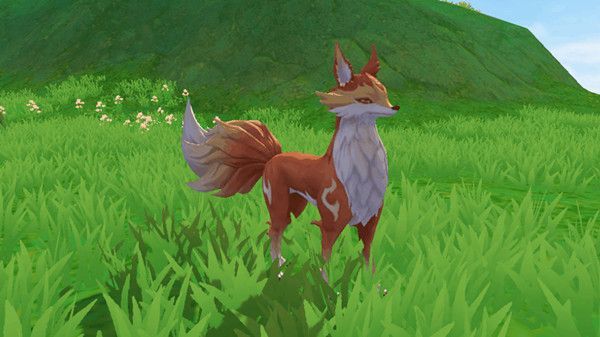 创造与魔法心月狐位置在哪  心月狐刷新坐标位置分享[多图]