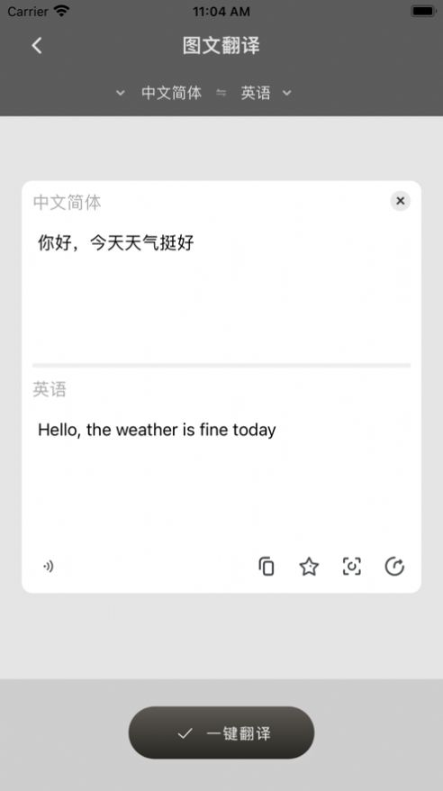 全球翻译通app图3