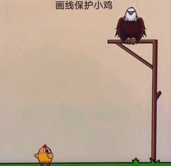 画线保护小鸡游戏免广告版图1