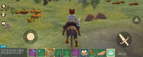 创造与魔法雨祝位置在哪  雨祝刷新位置分享[多图]