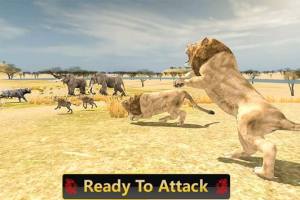 wild lion safari hunt游戏官方中文版图片2