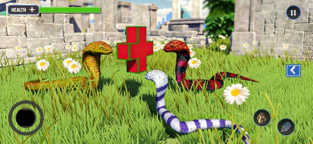 野生生命蛇模拟器中文版图2