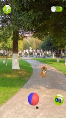 一起来捉猫游戏图3