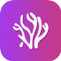珊瑚视频播放器app官方版 v1.1
