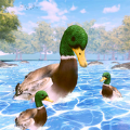 鸭子家庭生活模拟器3D游戏