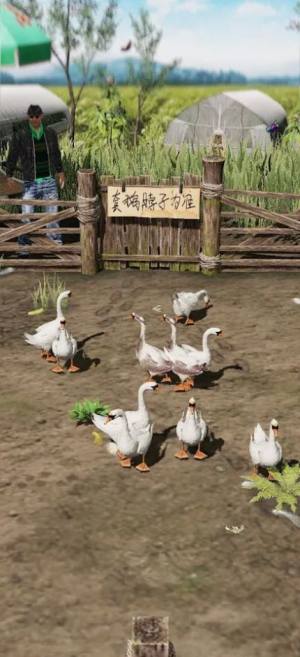 快乐游乐场游戏中文版(Happy Playground)图片1