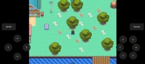 精灵宝可梦磷叶石0.2汉化版下载金手指最新版图片1