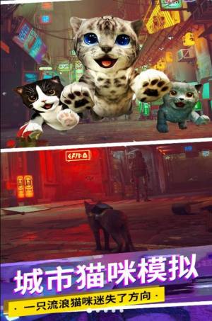 猫咪城市模拟游戏图3