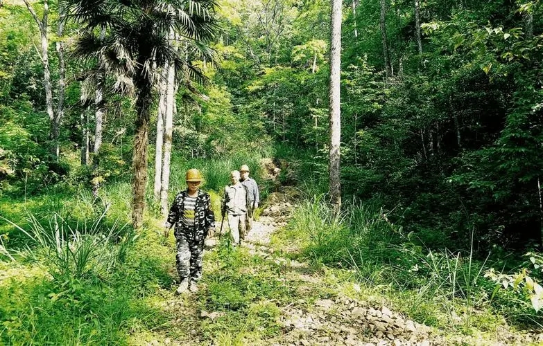 生态护林员软件下载-生态护林员app下载安卓-生态护林员最新版本