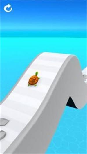 海龟赛跑3D游戏最新手机版图片1