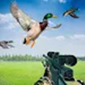 用枪狩猎鸭子游戏最新中文版 v6.9