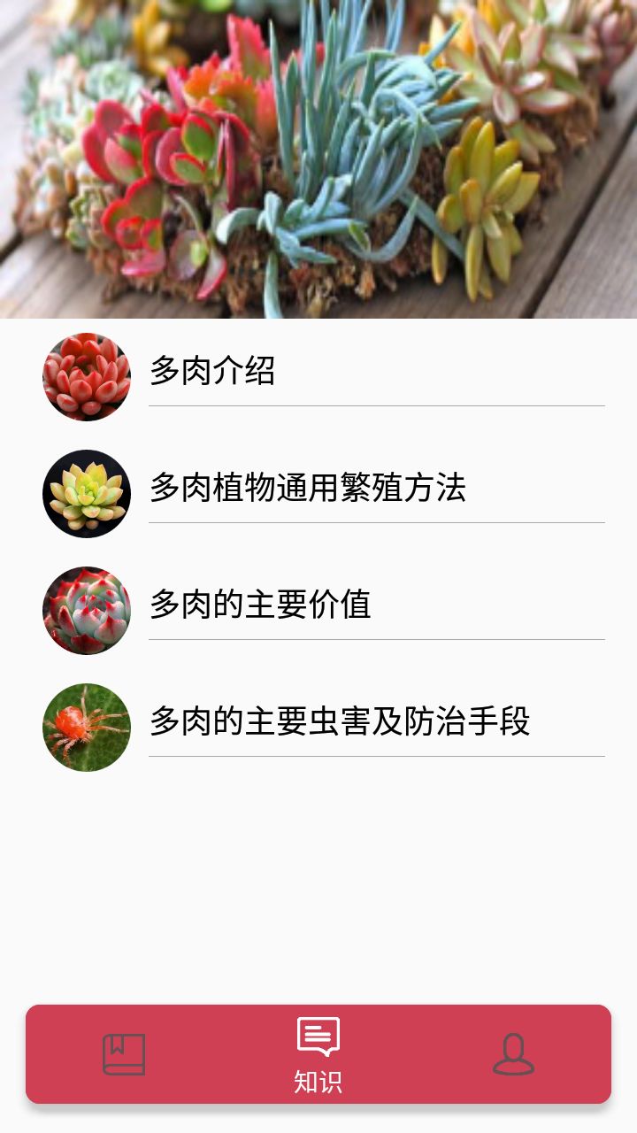 月亮多肉日记app图2