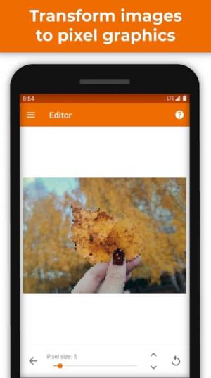 PhotoToPixels像素图片app手机版图片4