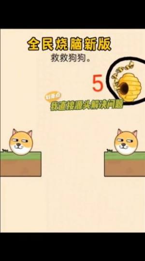 救救狗狗全能烧脑游戏最新手机版图片1