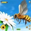 Honey Bee Bug Games游戏