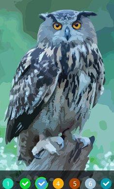 彩色星球游戏官方最新版图片1