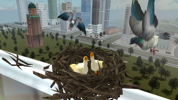 鸽子生存模拟游戏图1