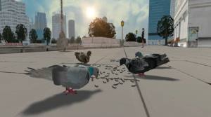 鸽子生存模拟游戏图3