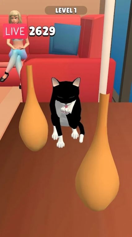 搞笑猫3D游戏图2