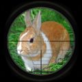 兔子狩猎3D游戏最新中文版 v2.0
