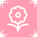 认识花app