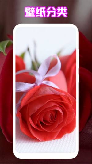 手机能量起源壁纸app软件图片1