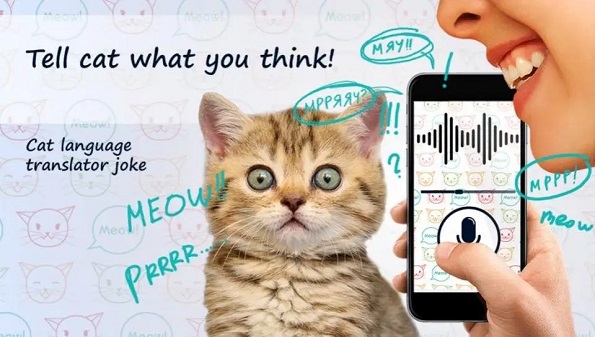 人声转化猫叫声的软件有哪些-能把人声变成猫声的软件-人声翻译成猫声软件app