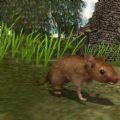 真实老鼠生存模拟器游戏下载手机版 v1.2