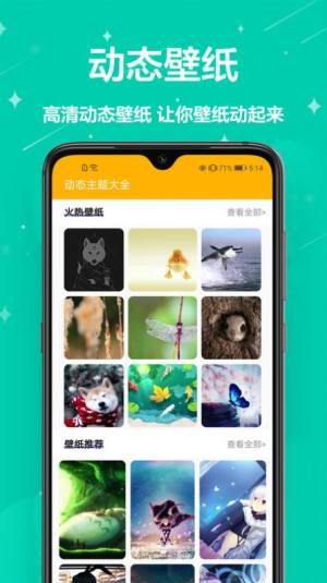 熊猫手机壁纸app图1