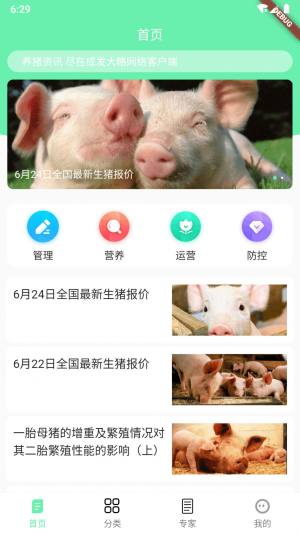 成发大略网络app图3